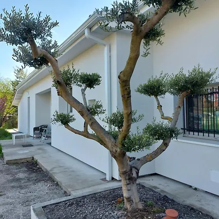 De Luxe Avec Saint-Médard-en-Jalles