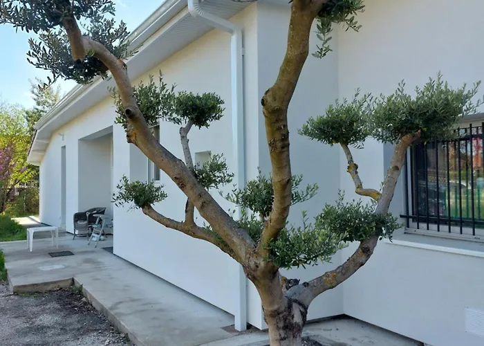 De Luxe Avec Saint-Medard-en-Jalles